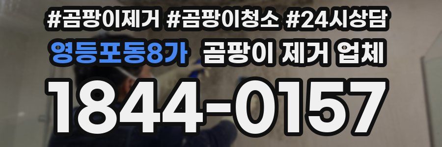영등포동8가 곰팡이 제거 업체