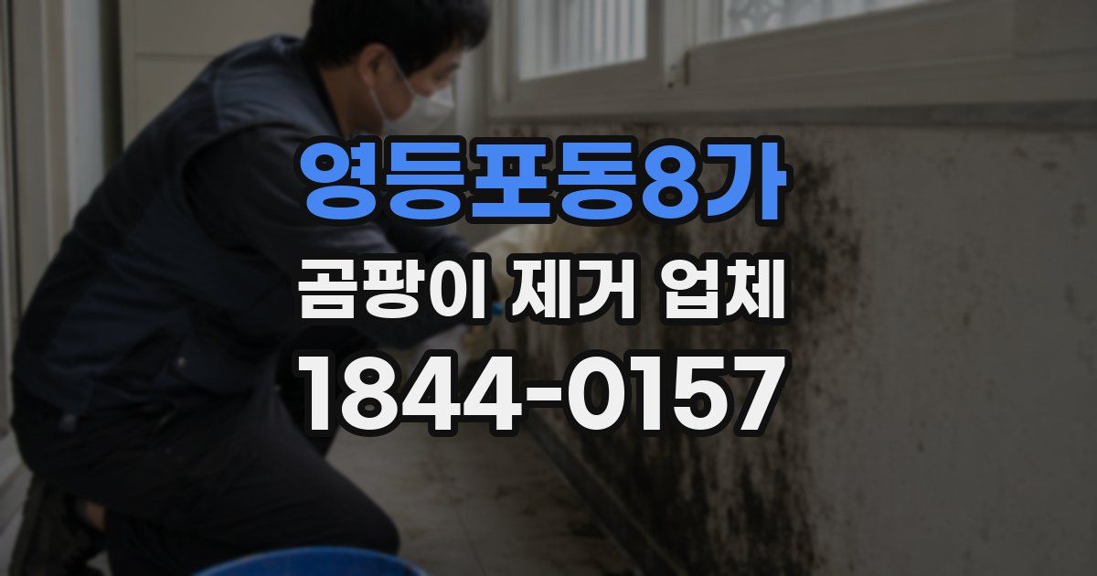 영등포동8가 곰팡이 제거 업체
