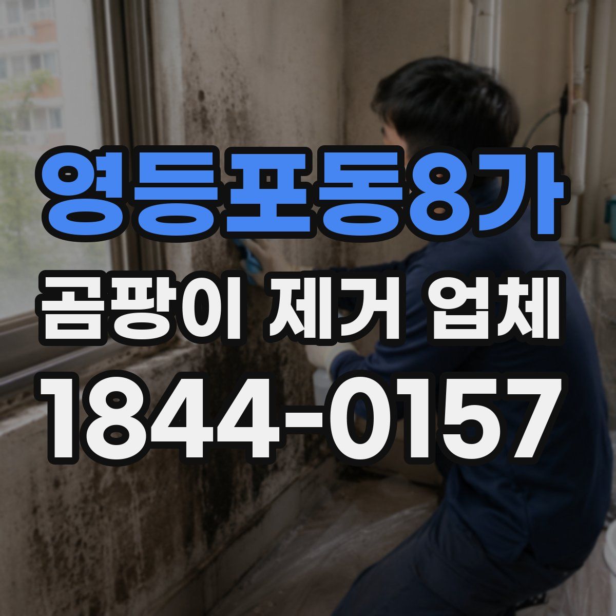 영등포동8가 곰팡이 제거 업체