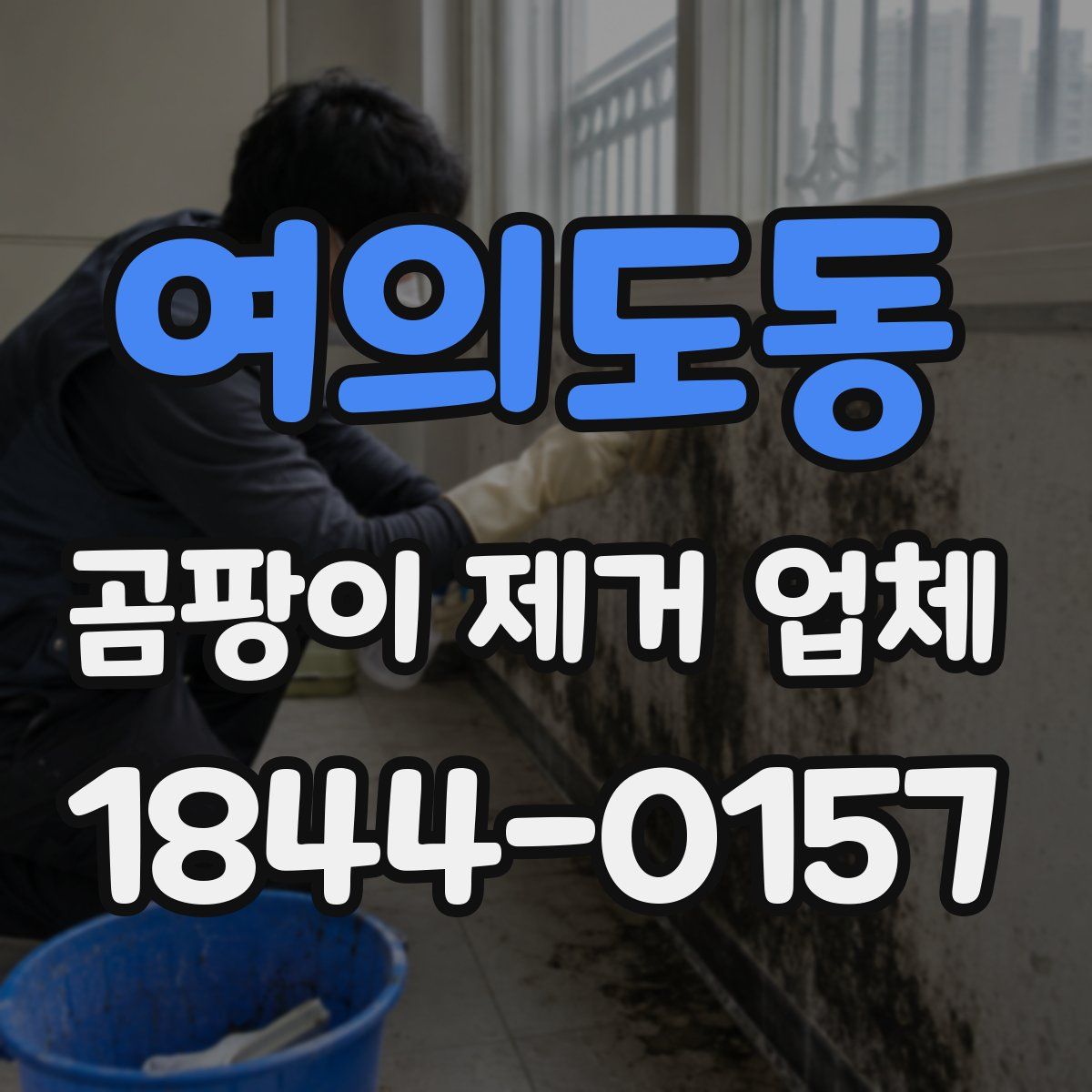 여의도동 곰팡이 제거 업체