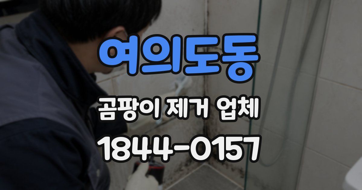 여의도동 곰팡이 제거 업체