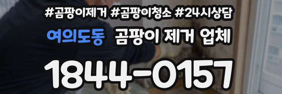 여의도동 곰팡이 제거 업체