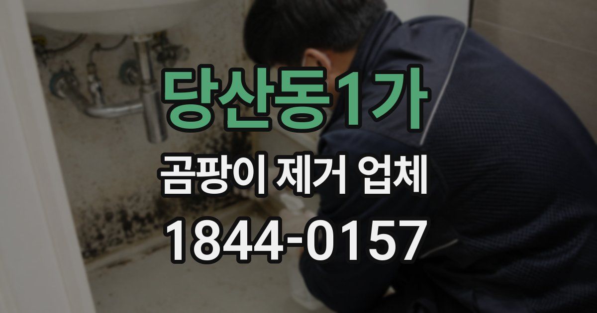 당산동1가 곰팡이 제거 업체