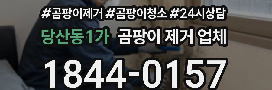 당산동1가 곰팡이 제거 업체