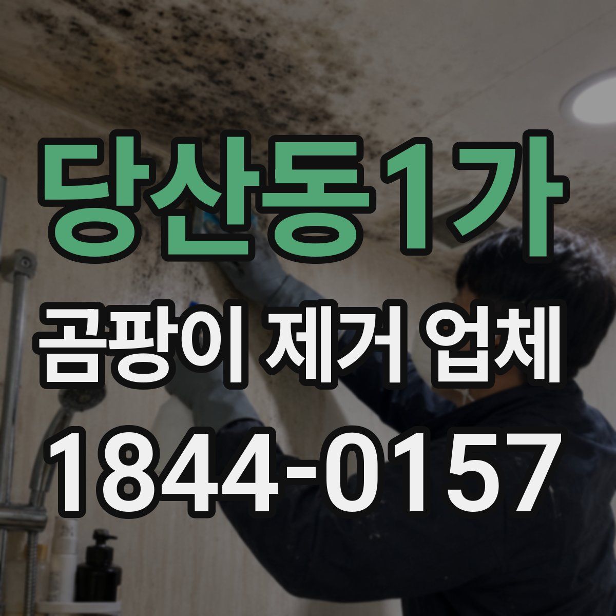 당산동1가 곰팡이 제거 업체