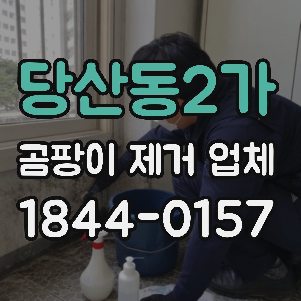 당산동2가 곰팡이 제거 업체