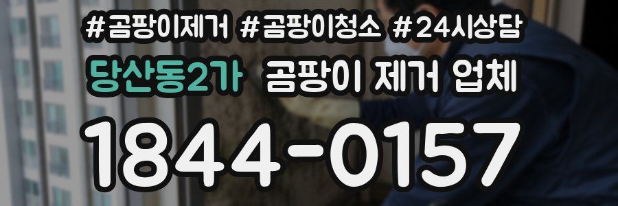 당산동2가 곰팡이 제거 업체