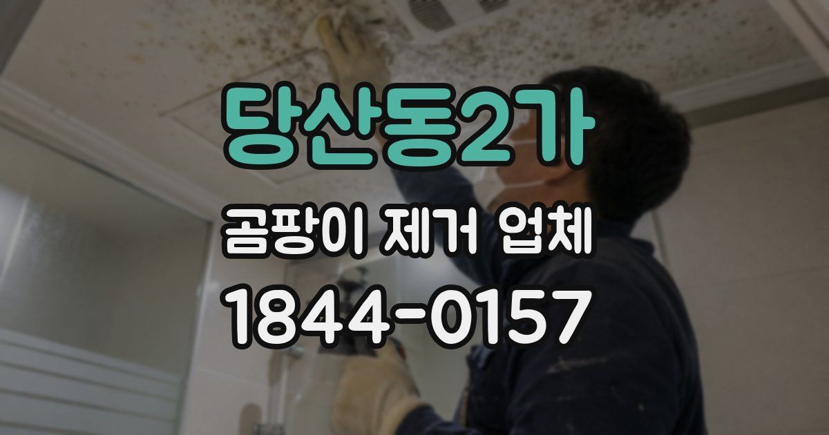 당산동2가 곰팡이 제거 업체