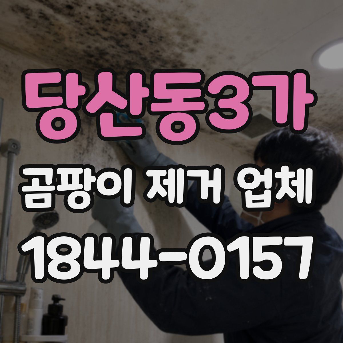 당산동3가 곰팡이 제거 업체