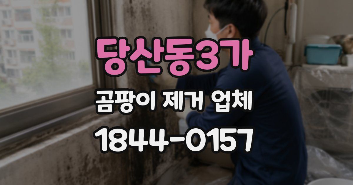 당산동3가 곰팡이 제거 업체