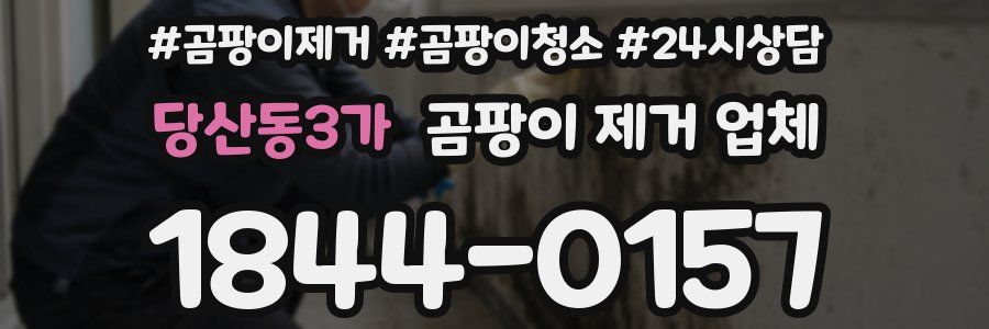 당산동3가 곰팡이 제거 업체