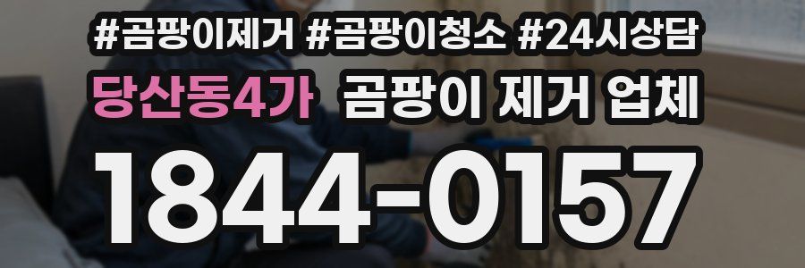 당산동4가 곰팡이 제거 업체