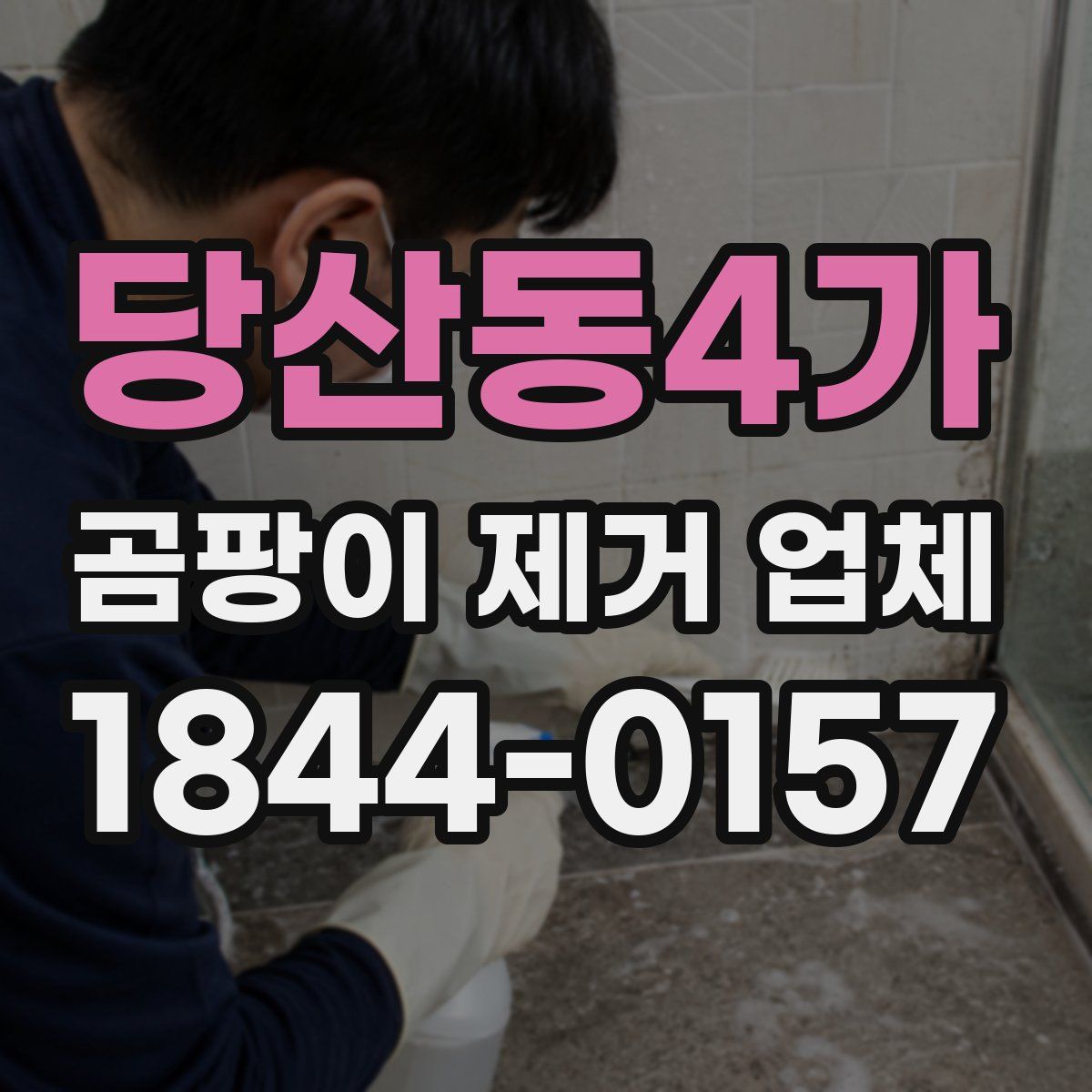 당산동4가 곰팡이 제거 업체