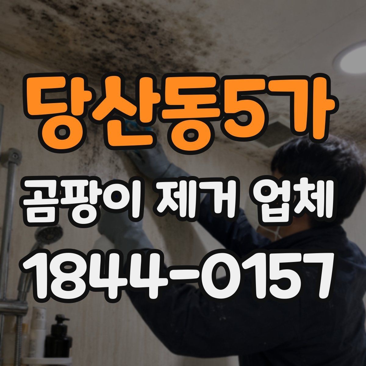 당산동5가 곰팡이 제거 업체 공용 벽면 번짐 여부를 확인하는 체크리스트