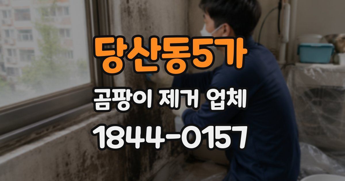 당산동5가 곰팡이 제거 업체