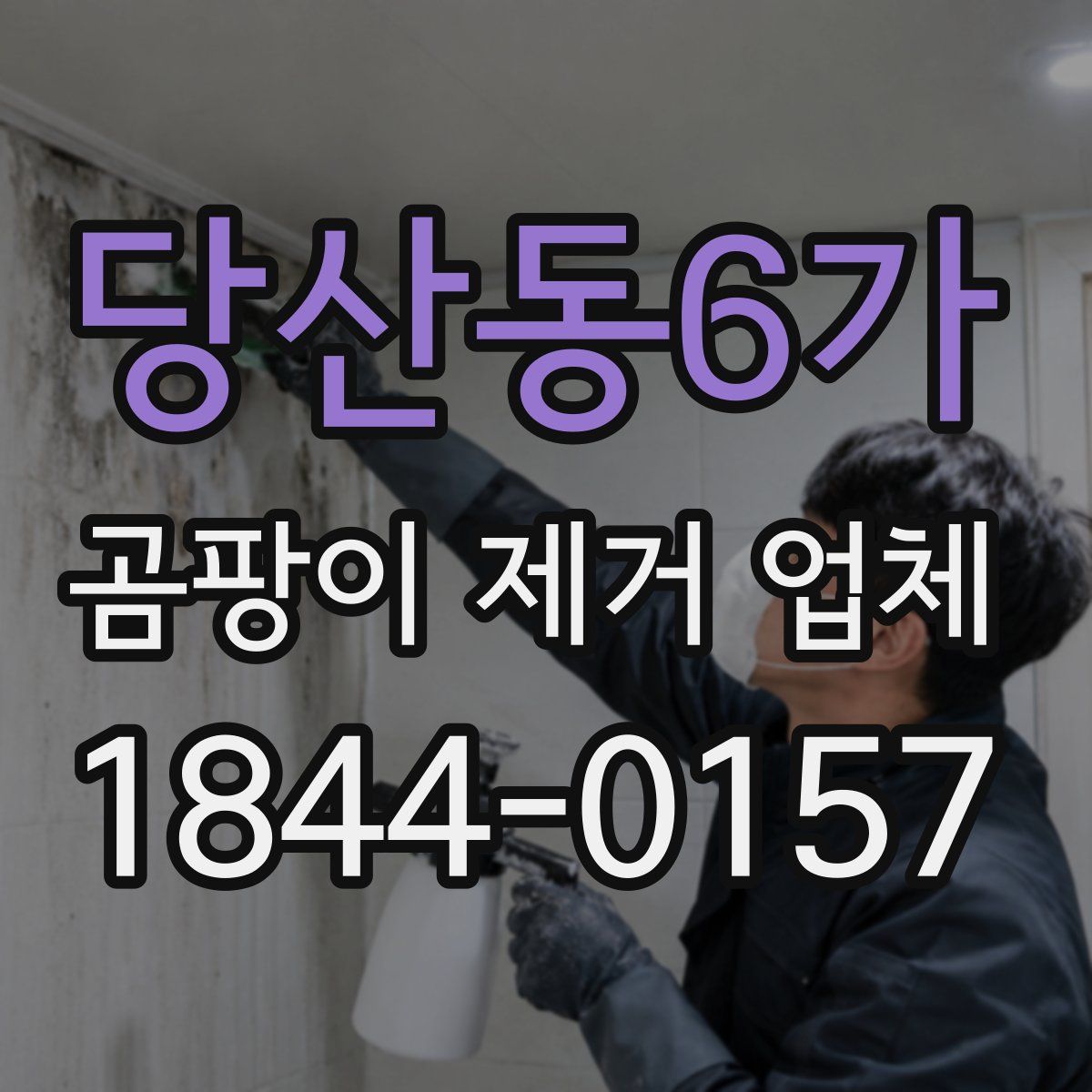당산동6가 곰팡이 제거 업체