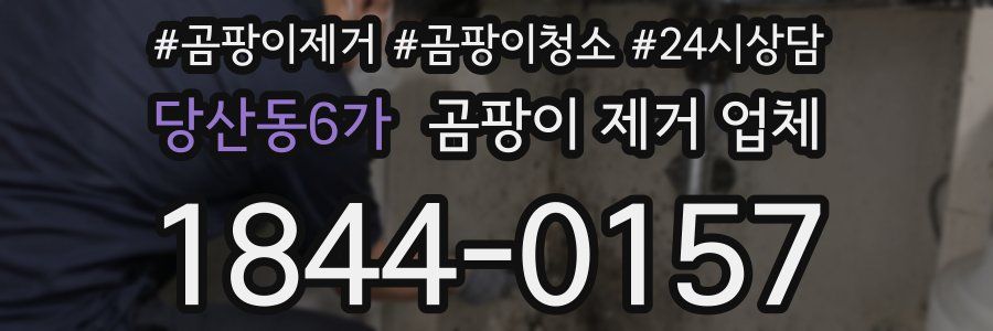 당산동6가 곰팡이 제거 업체