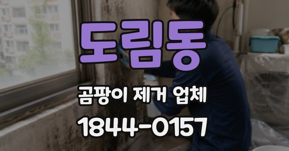 도림동 곰팡이 제거 업체