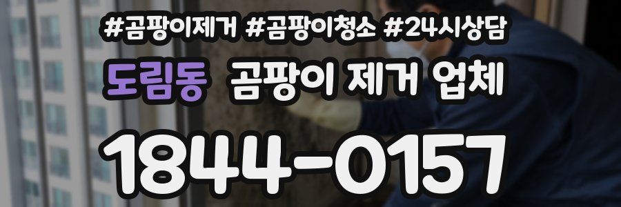 도림동 곰팡이 제거 업체