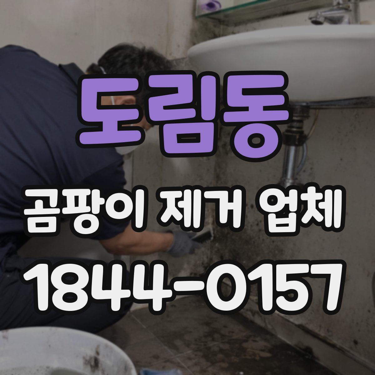 도림동 곰팡이 제거 업체