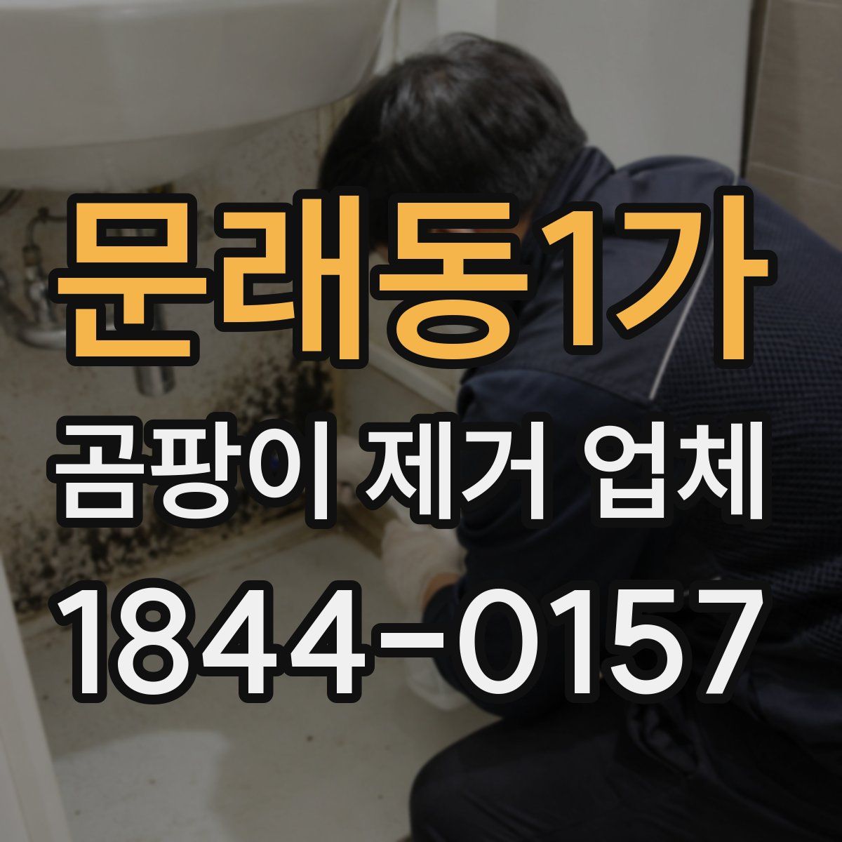 문래동1가 곰팡이 제거 업체