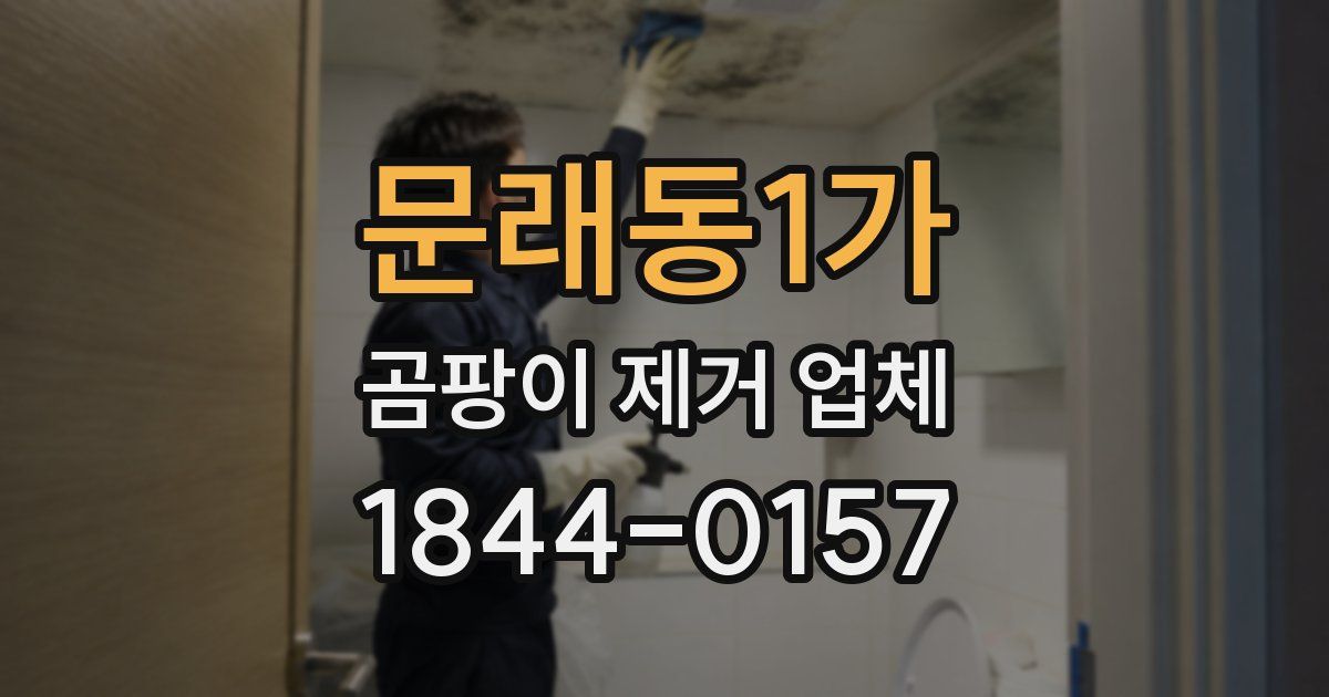 문래동1가 곰팡이 제거 업체