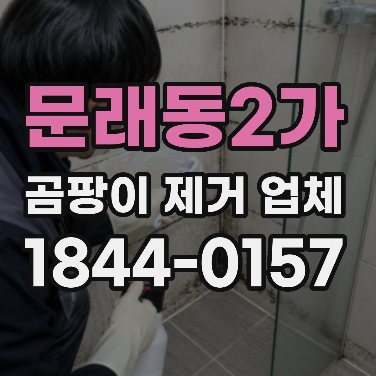 문래동2가 곰팡이 제거 업체