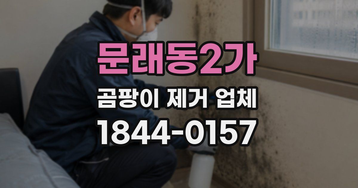 문래동2가 곰팡이 제거 업체