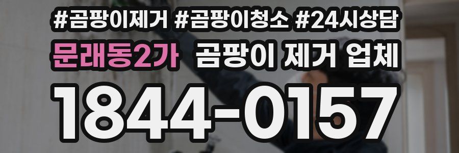 문래동2가 곰팡이 제거 업체