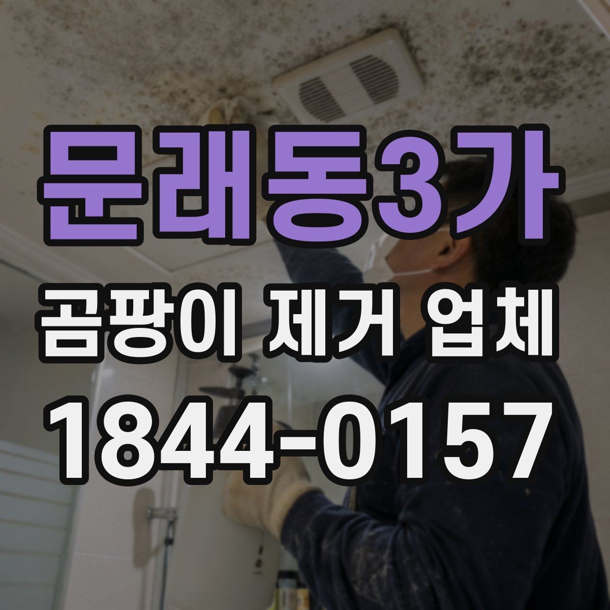 문래동3가 곰팡이 제거 업체 벽체 내부 오염 가능성을 살피는 체크리스트