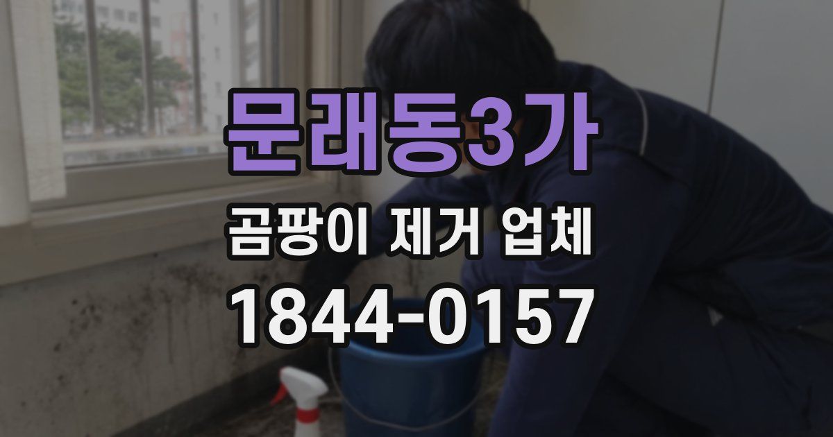 문래동3가 곰팡이 제거 업체