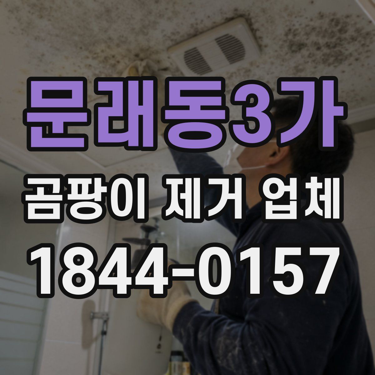 문래동3가 곰팡이 제거 업체