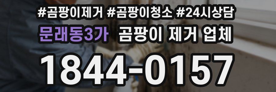 문래동3가 곰팡이 제거 업체
