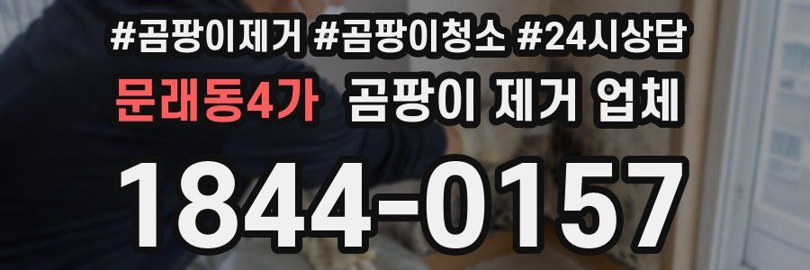 문래동4가 곰팡이 제거 업체