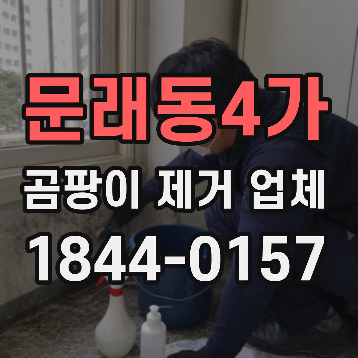 문래동4가 곰팡이 제거 업체