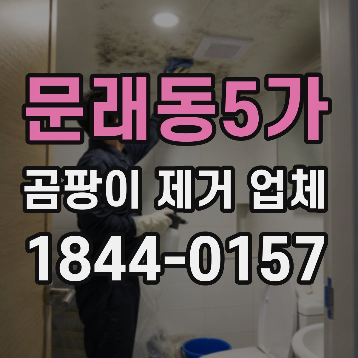 문래동5가 곰팡이 제거 업체
