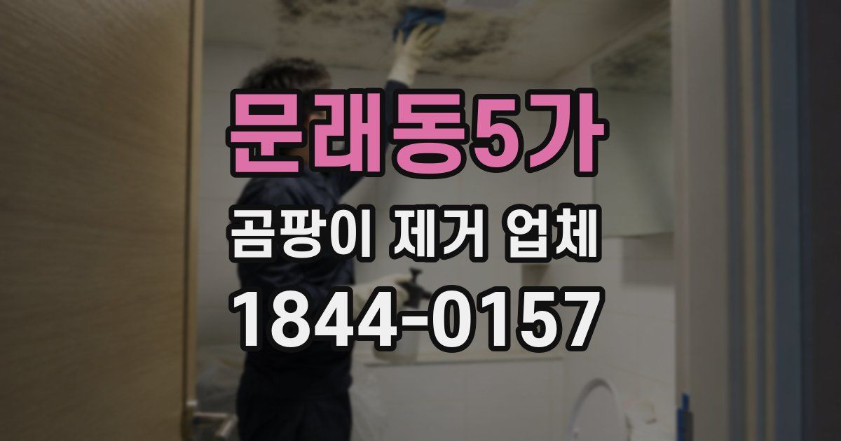 문래동5가 곰팡이 제거 업체