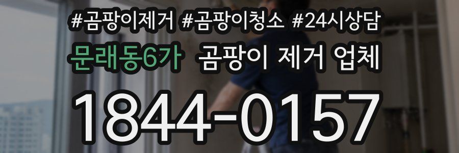 문래동6가 곰팡이 제거 업체