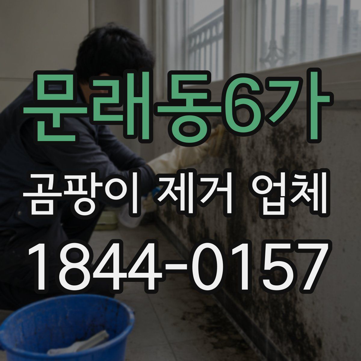문래동6가 곰팡이 제거 업체