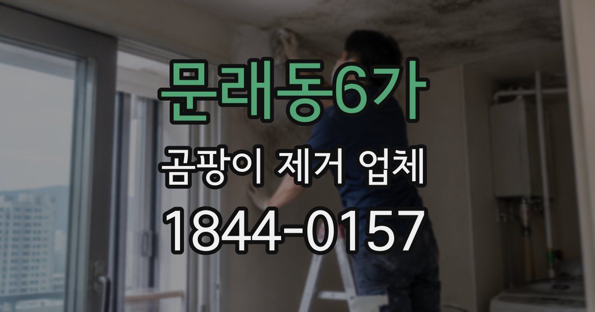 문래동6가 곰팡이 제거 업체