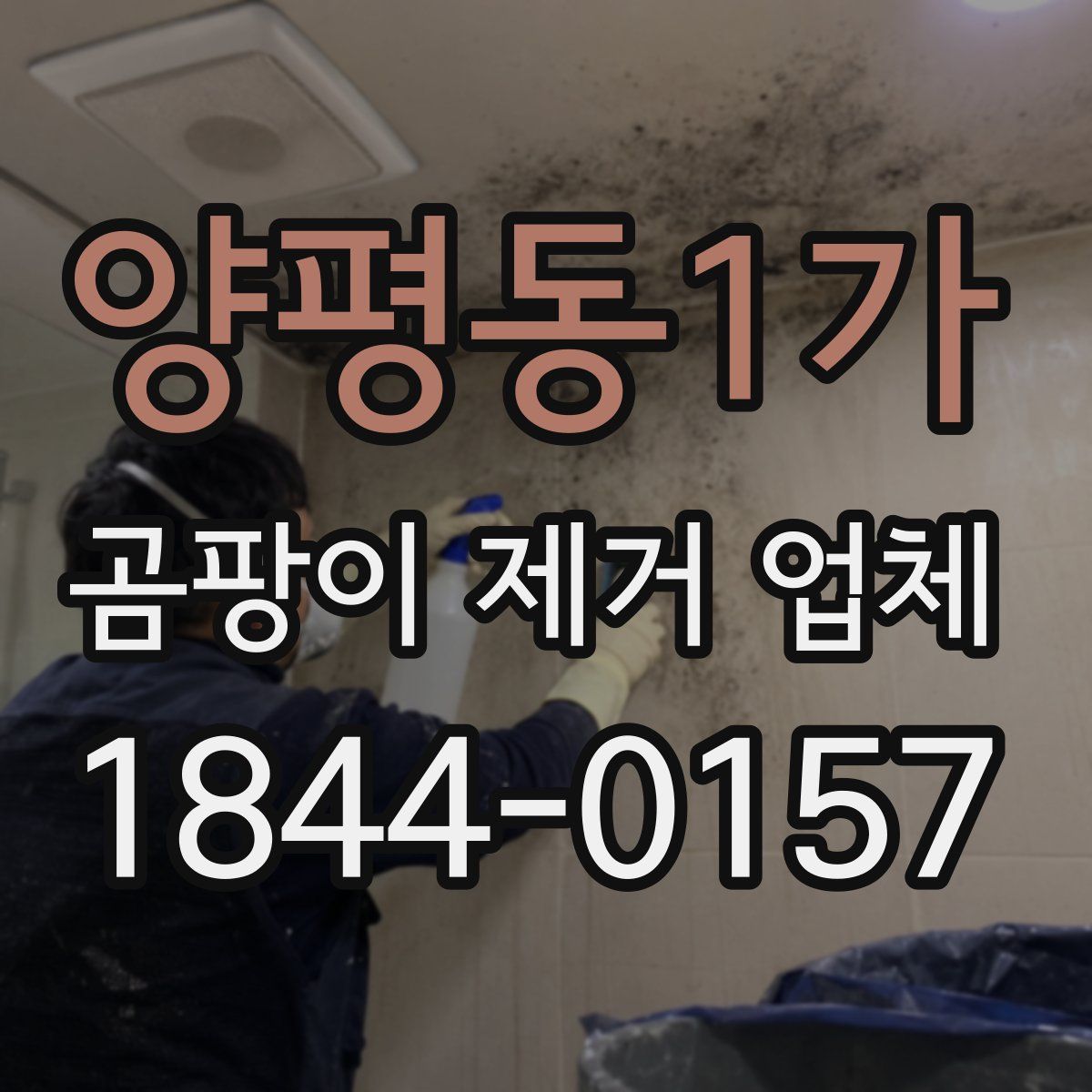 양평동1가 곰팡이 제거 업체