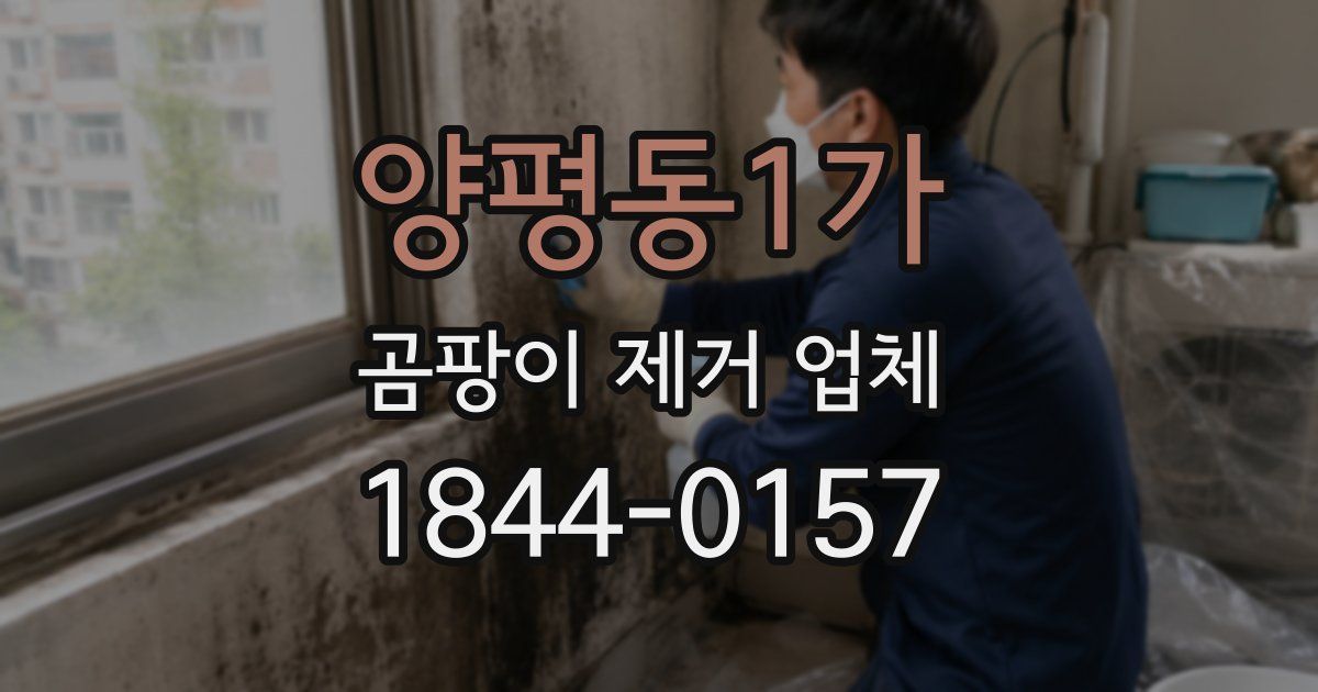 양평동1가 곰팡이 제거 업체