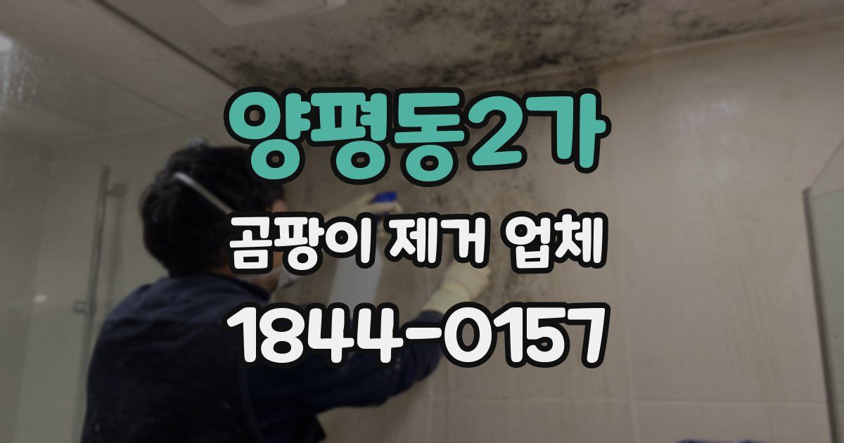 양평동2가 곰팡이 제거 업체