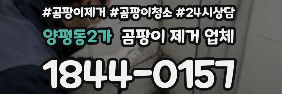 양평동2가 곰팡이 제거 업체
