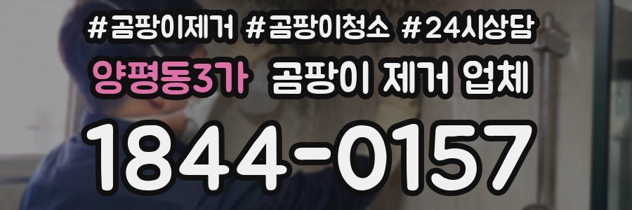 양평동3가 곰팡이 제거 업체