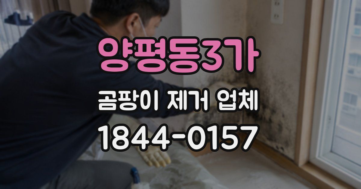 양평동3가 곰팡이 제거 업체