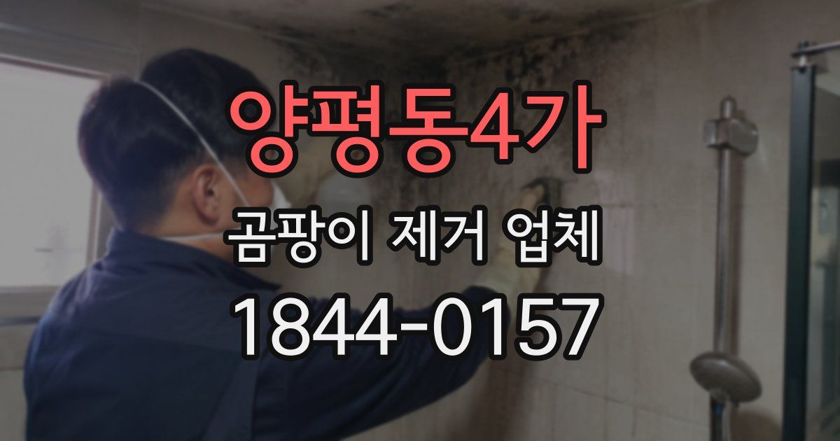 양평동4가 곰팡이 제거 업체