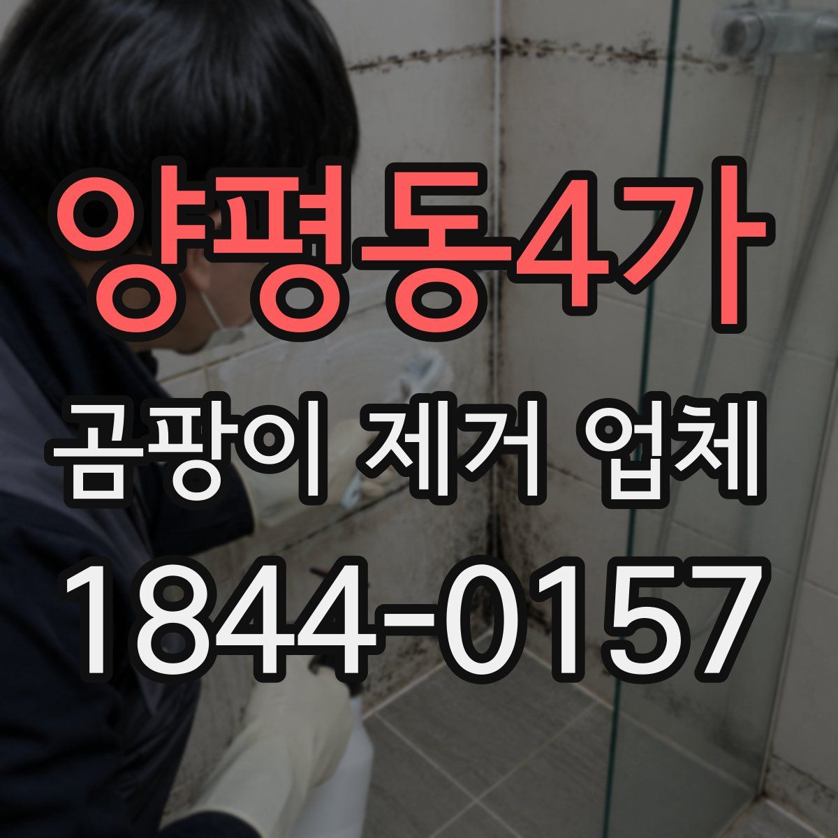양평동4가 곰팡이 제거 업체