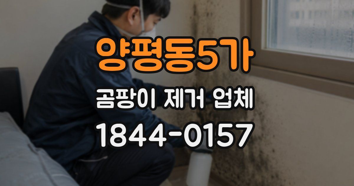 양평동5가 곰팡이 제거 업체