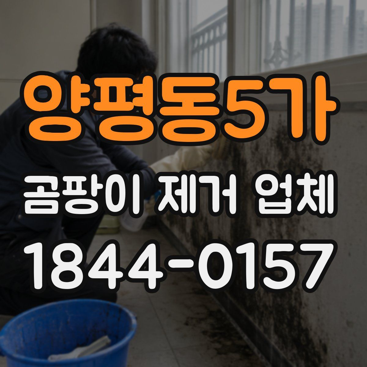 양평동5가 곰팡이 제거 업체